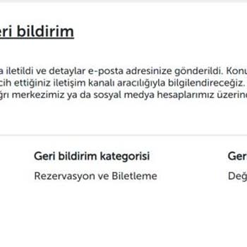 Türk Hava Yolları Dönüş Uçuşunda Sorunlar