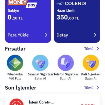 MoneyPay İle İlgili Problem