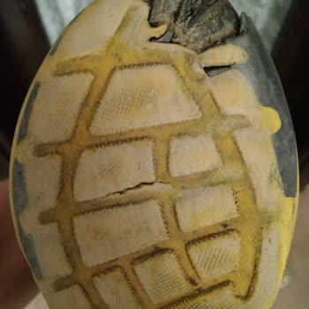 Minipicco Ayakkabı Malzeme Kalitesizliği