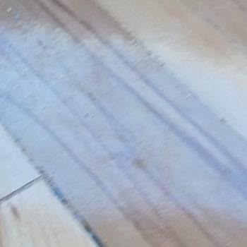 Sistre Cila Parkem Sistre Hizmetinden Memnun Kalmadım