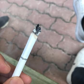 Philip Morris Sigaranın İçindeki Maddeler