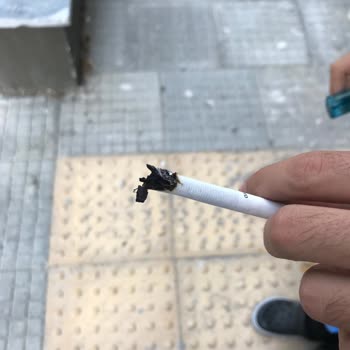 Philip Morris Sigaranın İçindeki Maddeler