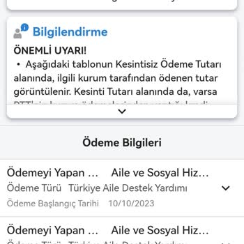 Aile Ve Sosyal Hizmetler Bakanlığı Türkiye Aile Destek Ödemeleri