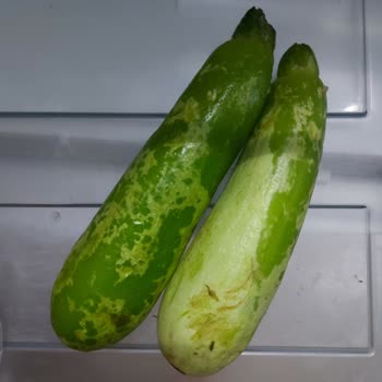 Vestel Müşteri Mağduriyeti Kayıtsız İşlem Yapmaları