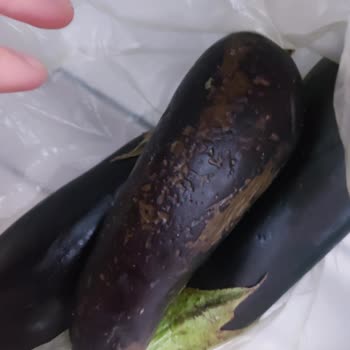 Vestel Müşteri Mağduriyeti Kayıtsız İşlem Yapmaları