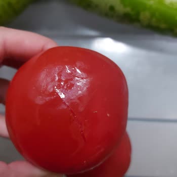 Vestel Müşteri Mağduriyeti Kayıtsız İşlem Yapmaları