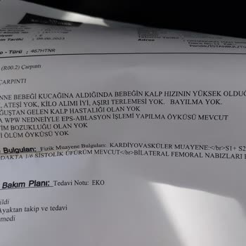 Magdeburger Sigorta Madgeburger Res Veriyor