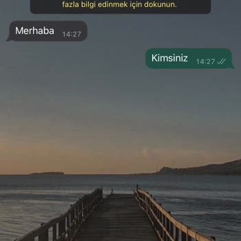 WhatsApp +1 716 519 6272