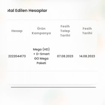 D Smart Terbiyesizliği