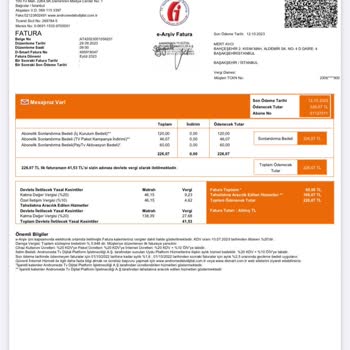 D Smart Terbiyesizliği