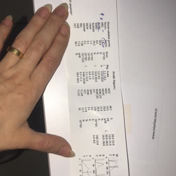 Ezirgan Veteriner Kliniği Yanlış Teşhis Bilinçsiz İlaç Kullanımı