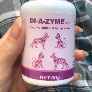 Ezirgan Veteriner Kliniği Yanlış Teşhis Bilinçsiz İlaç Kullanımı