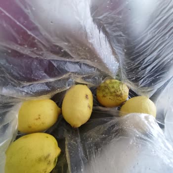 Biçen Market Biçen Çürük Limon