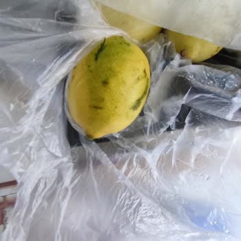 Biçen Market Biçen Çürük Limon