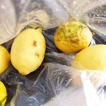 Biçen Market Biçen Çürük Limon