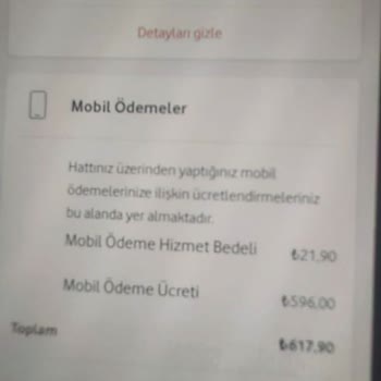 Vizyon Elektronik Para Haberim Olmadan Yapılan Üyelik