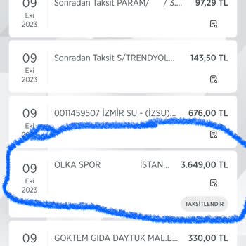 Skechers Resmi Sayfası Kredi Kartımdan İki Defa Para Çekti
