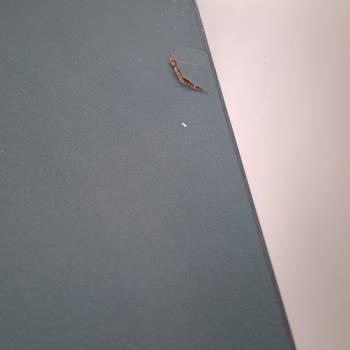 Doğtaş Mobilya Teşhir Ürünü Gönderdi