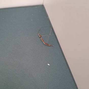 Doğtaş Mobilya Teşhir Ürünü Gönderdi