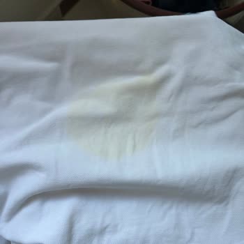 Rossmann Domol Sıvı Leke Çıkartıcı