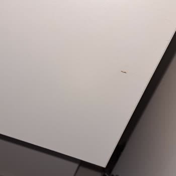 Bellona'dan Yatak Odası