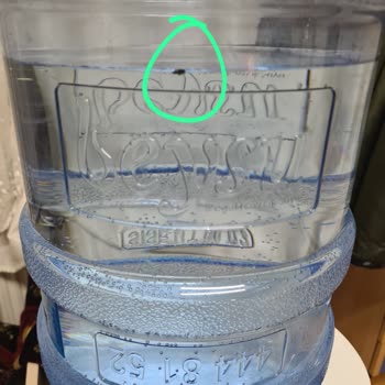 Beysu Damacana İçindeki Çöp