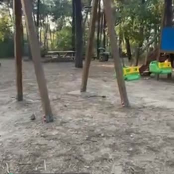 İBB - İstanbul Büyükşehir Belediyesi Sancaktepe Orman Park Bakımı Ve Yenilenmesi