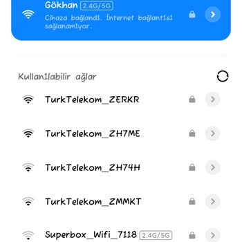Türk Telekom İnternet Erişimi Yok