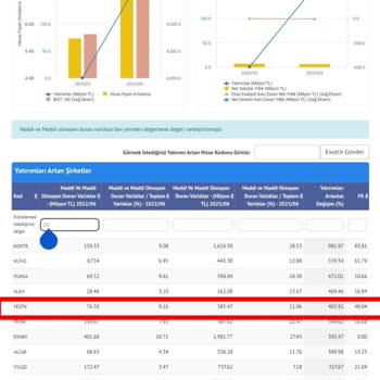 Borfin Sitesinden Satın Aldığım Programla İlgili Sorunlar