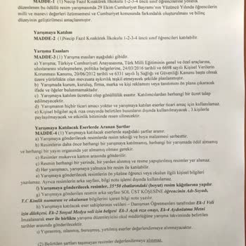 Algida Puan İle Dondurma