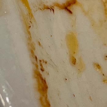 HD İskender Restaurant Ürünlerin Soğukluğu Hizmetin Kötülüğü