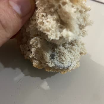 BİM Tam Buğdaylı Ekmek İçinde Civata Pulu Çıktı