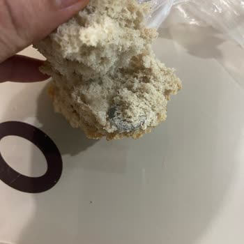 BİM Tam Buğdaylı Ekmek İçinde Civata Pulu Çıktı