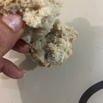 BİM Tam Buğdaylı Ekmek İçinde Civata Pulu Çıktı