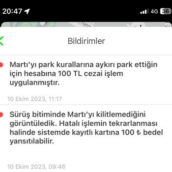 Martı Tarafından Yansıtılan Ceza