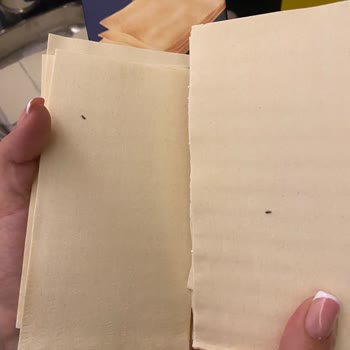 Barilla Gıda Makarna İçinde Böcekler!