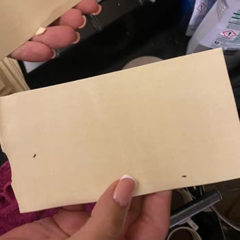 Barilla Gıda Makarna İçinde Böcekler!