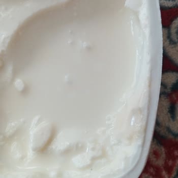 İçim Labne Peynir Küflü Bozuk Çıktı!