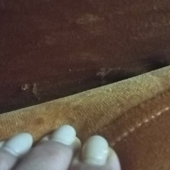 Armut Koltuk Döşeme Hizmetinden Memnuniyetsizlik