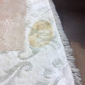 Bahçelievler Şampiyon Halı Yıkama Halıma Zarar Verdi