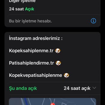 Kopekkedisahiplendirmetr (Instagram) Kopek Sahiplendirme Sitesi