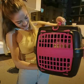 Kopekkedisahiplendirmetr (Instagram) Kopek Sahiplendirme Sitesi