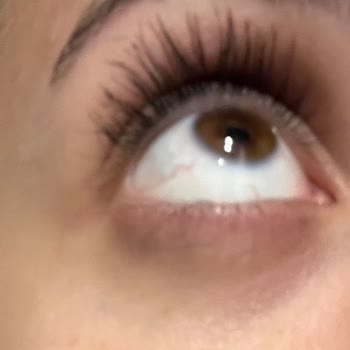 Maybelline New York Waterproof Rimelin Akması