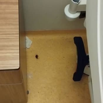 Başakşehir Çam ve Sakura Şehir Hastanesi Hastanede Yaşanan Sorunlar