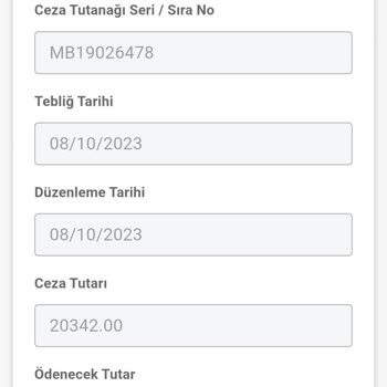 Martı Tag Ve Devlet