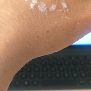 Eve Gerçek Shea Yağı Olmaması