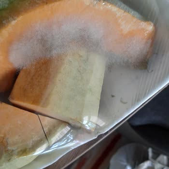Migros Sanal Market Küflenmiş Ürün Göndermiş