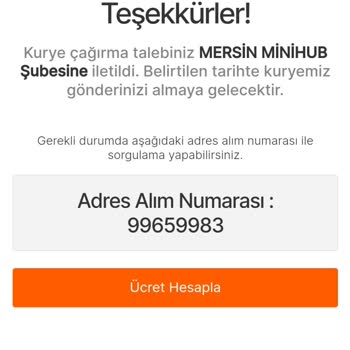 MNG Kargo Kuryenin Çağırma Problemi