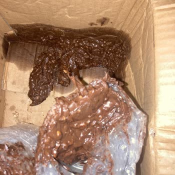 Epttavm'den Aldığım Fındıklı Kakao Kremalarının Ambalajı Kötü