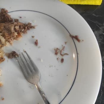 Bonfilet Kavurmadan Çıkan Kurt